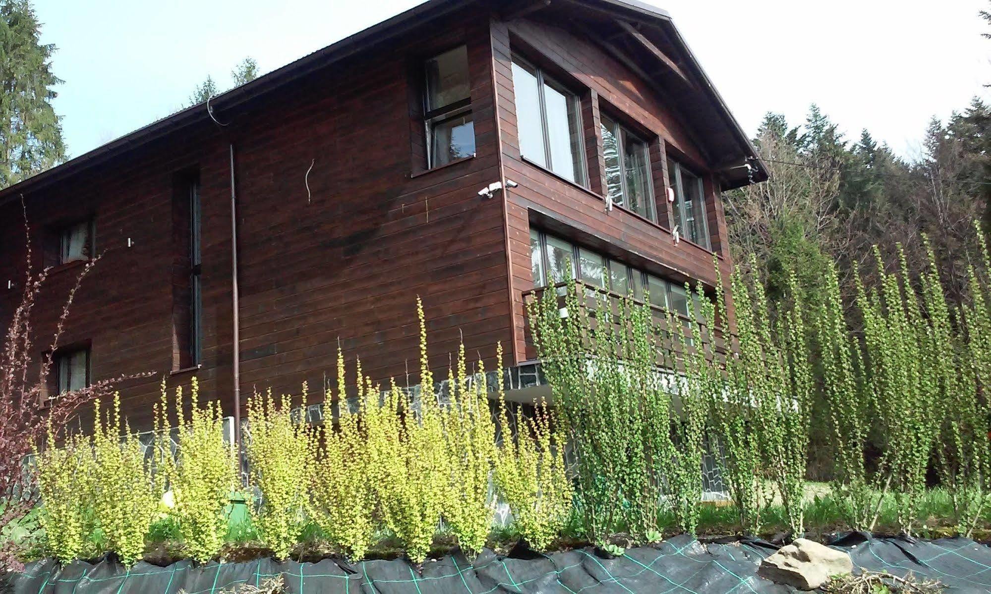 什切尔克卡罗琳卡旅馆公寓 外观 照片